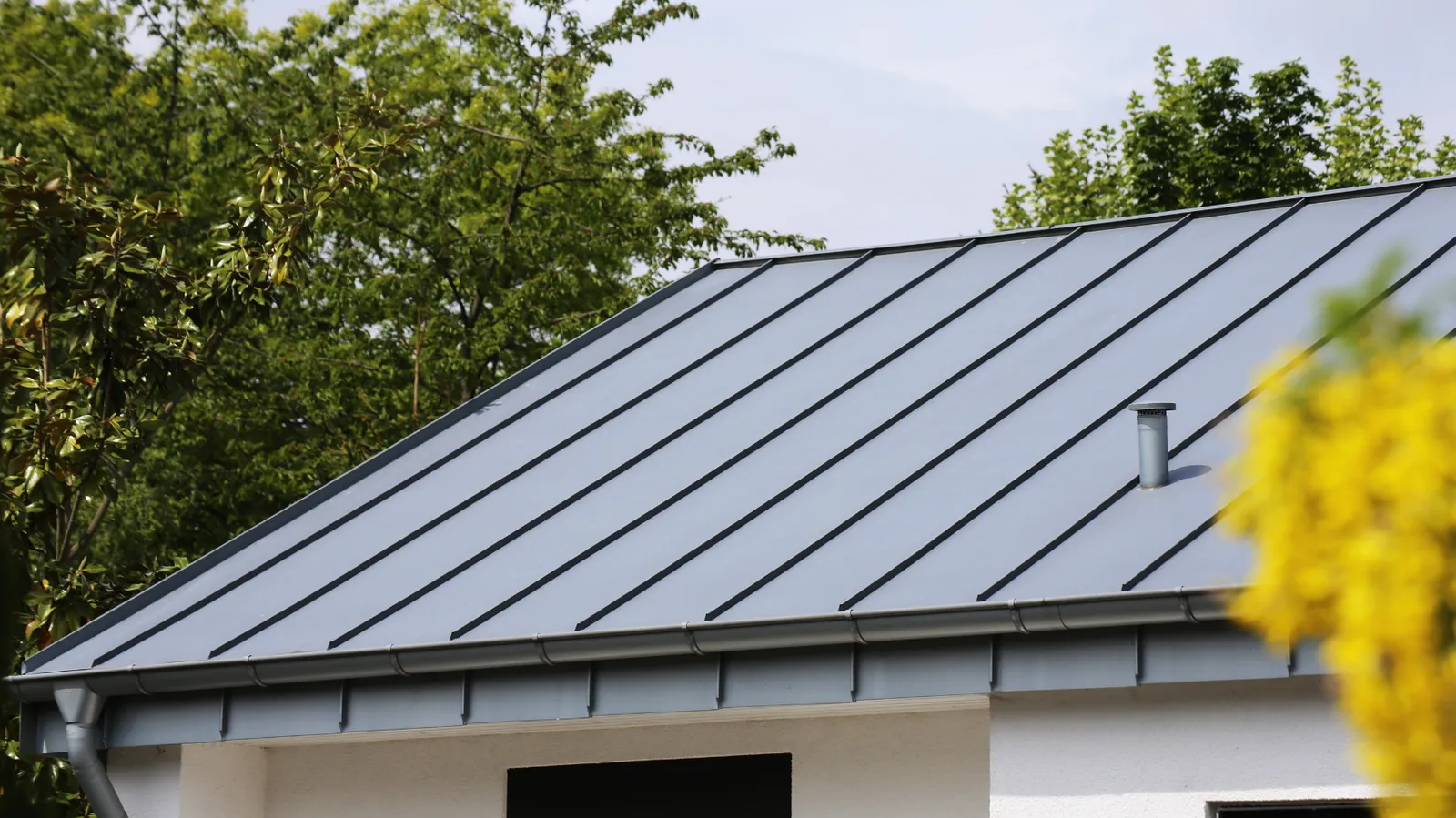 Leafy trees beside a standing seam metal roof edge with gutter